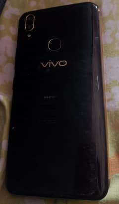 vivo