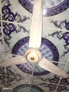 Ceiling fan For SALE