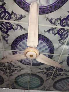 Ceiling fan for SALE 