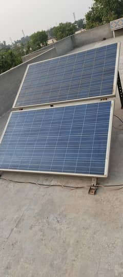 Solor