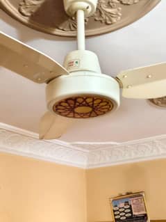 Ceiling