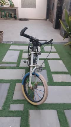 best cycle