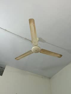 ceiling Pak fan for sale