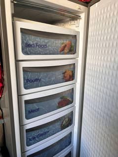 Dawlance vertical Freezer