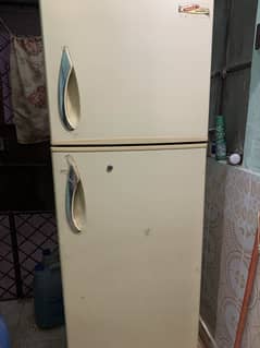 Fridge GABA NATIONAL