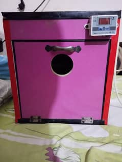 30 eggs incubator