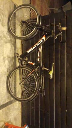 Roman Bicycle for sale 8/10 condition Final Price