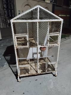 Birds Cage