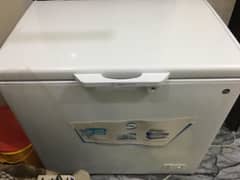 freezer for pell company
