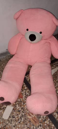 teddy bear