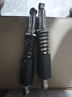 CD70 Shaks