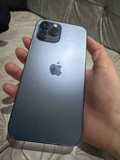 12 pro max