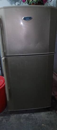 fridge scale