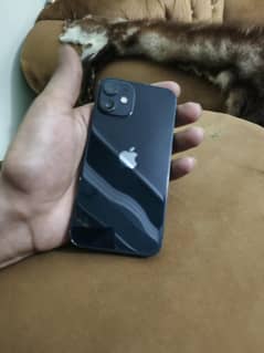 iPhone 12 mini