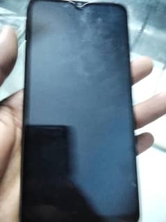 y6s 2019
