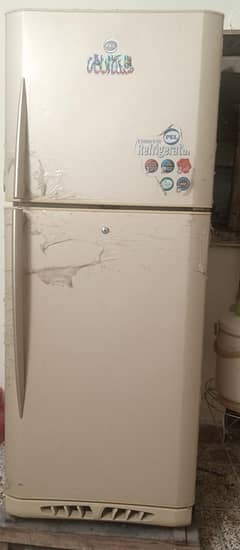 PEL Refrigerator