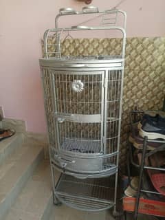 heavy cage for Raw and Gray parrots