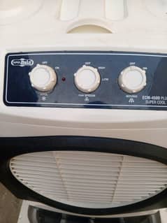 SUPER AISA COMPANY M SIZE