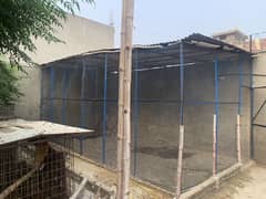 avairy for birds