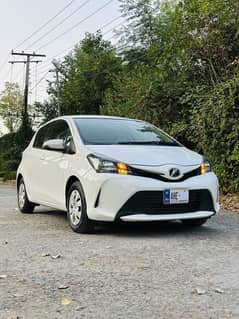 Vitz Spider 14/18