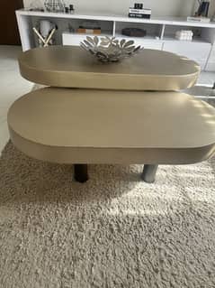 SET OF 2 COFFEE TABLES