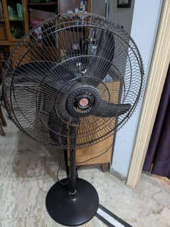 royal pedestal fan 24"
