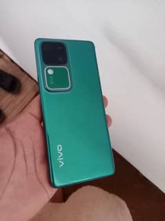 vivo v30