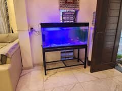 Fish Aquarium With 10fishes
