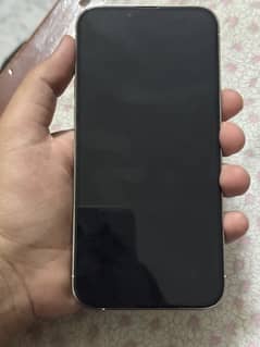 iPhone 13 pro max jv