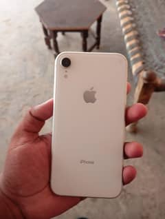 iphone XR all ok 64 Gb 10by10 condition face or true on hai
