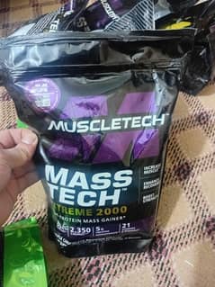 muscle