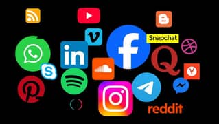 social media expert