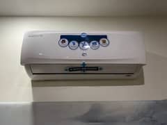 Pel Majestic T3