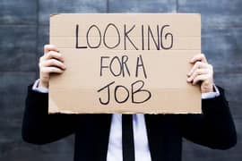 Looking for a Job