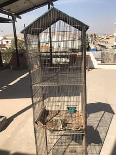 3 portion cage for sale