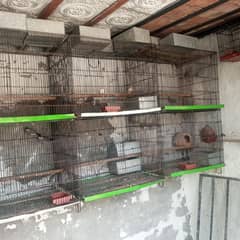 cage for sale