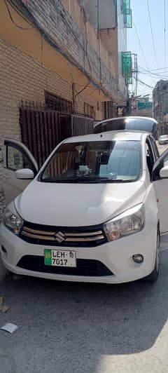 Suzuki caltus vxr 2018