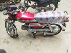 unique 70cc (2024)  0331/91/37135