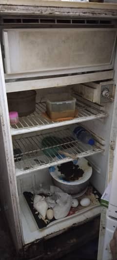 pel fridge