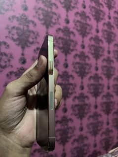 IPhone 13 Pro non pta