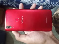 vivo