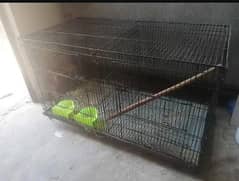 birds and hens cage