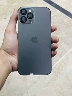 Iphone 12 pro max