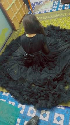 fairy
