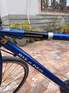 Boz X Neo Bicycle