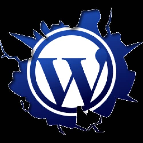 export website 1