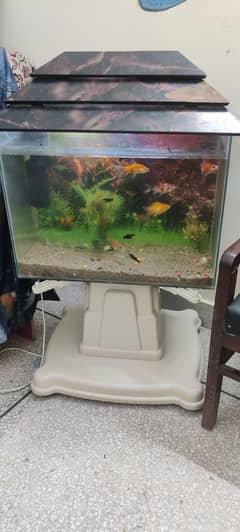 Fish Aquarium for sale with all assories