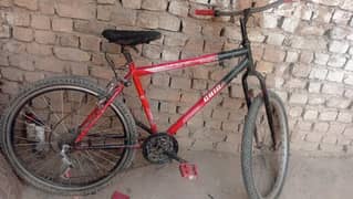 sport