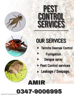 Termite