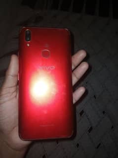 vivo